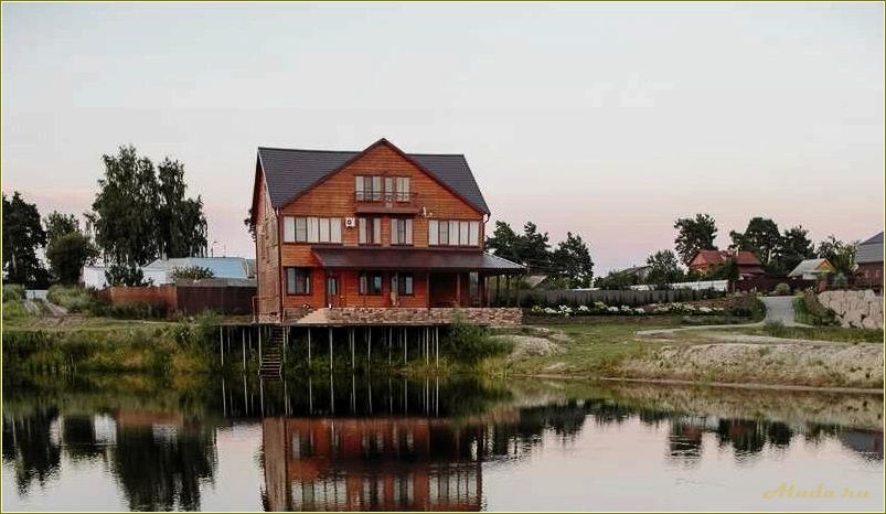 Полушкино — рязанская область — база отдыха, адрес и возможности для отличного отпуска