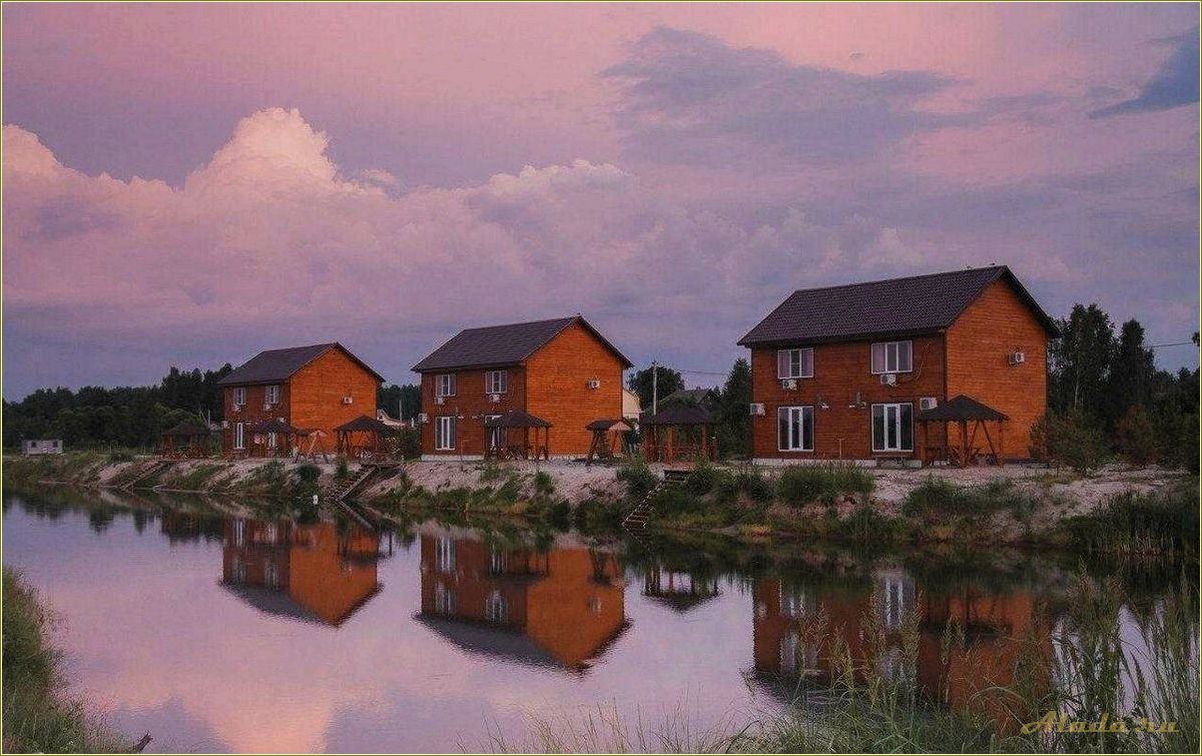 Полушкино — рязанская область — база отдыха, адрес и возможности для отличного отпуска