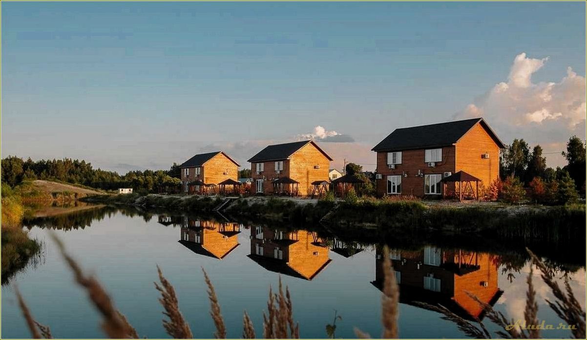 Полушкино — рязанская область — база отдыха, адрес и возможности для отличного отпуска