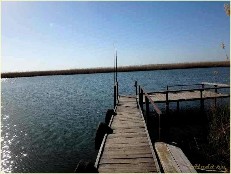 Поселок веселый ростовской области база отдыха