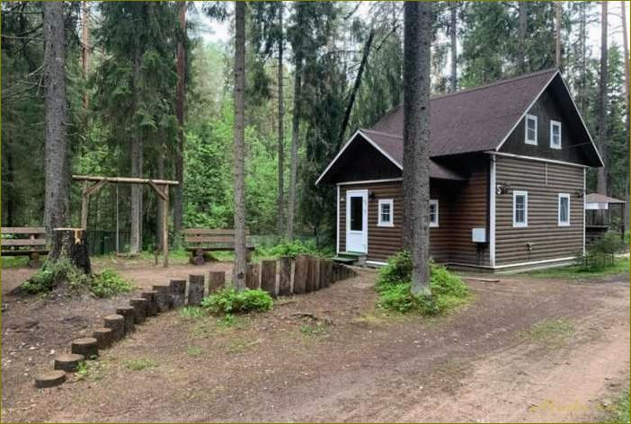 (продажа, базы, отдыха, новгородской, области) Продажа базы отдыха в Новгородской области — лучшее предложение для отдыха и инвестиций