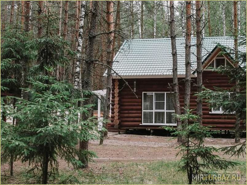 (продажа, базы, отдыха, рязанской, области) Продажа базы отдыха в Рязанской области — идеальное место для релакса и инвестиций