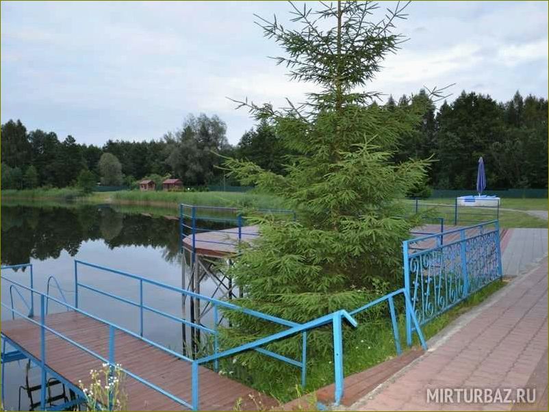 Пушкарево — идеальное место для отдыха в Калининградской области, где можно насладиться красотами природы и полной релаксации