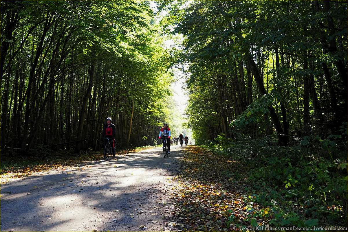 Пушкарево — идеальное место для отдыха в Калининградской области, где можно насладиться красотами природы и полной релаксации