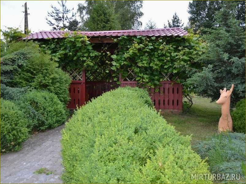 Пушкарево — идеальное место для отдыха в Калининградской области, где можно насладиться красотами природы и полной релаксации