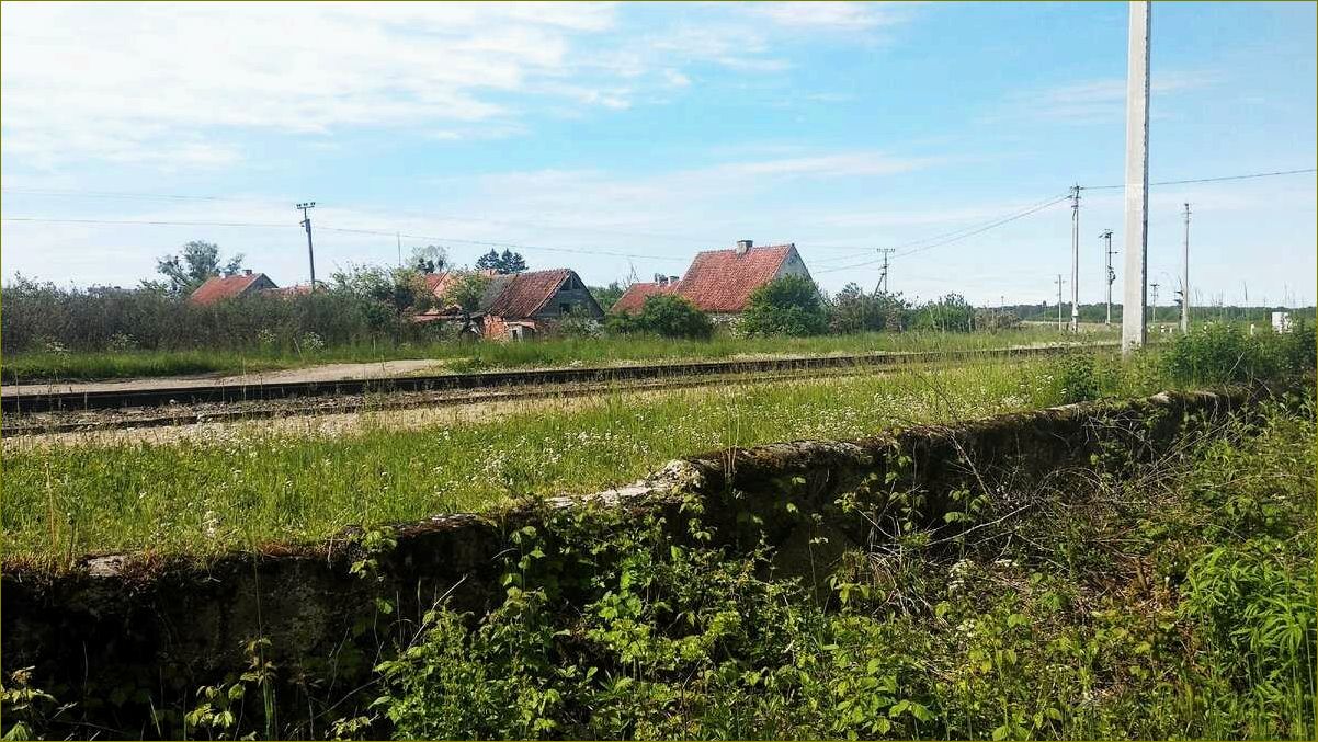 Пушкарево — идеальное место для отдыха в Калининградской области, где можно насладиться красотами природы и полной релаксации