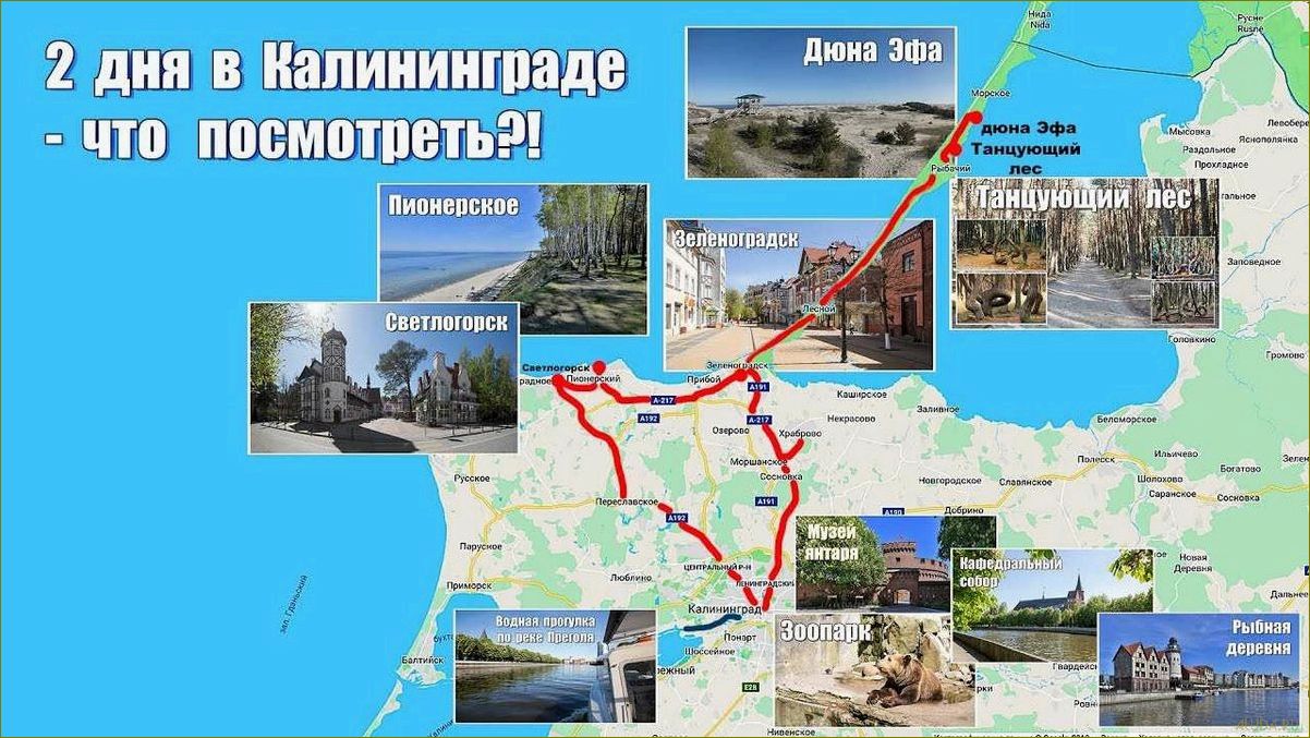 Путешествуйте самостоятельно по Калининграду и Калининградской области — открытие уникального региона с богатым культурным наследием  