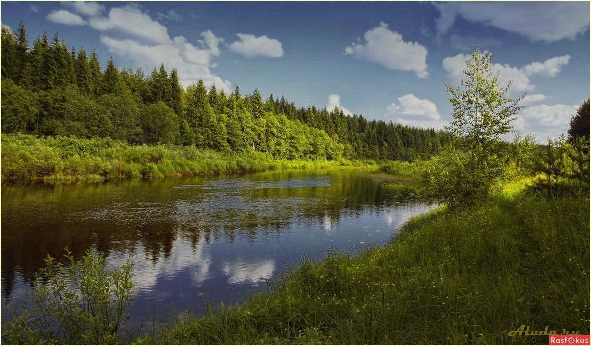 Реки Тверской области для отдыха: лучшие места и возможности