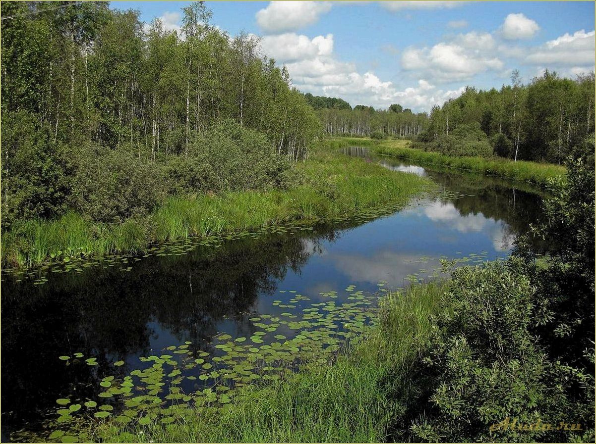 Реки Тверской области для отдыха: лучшие места и возможности