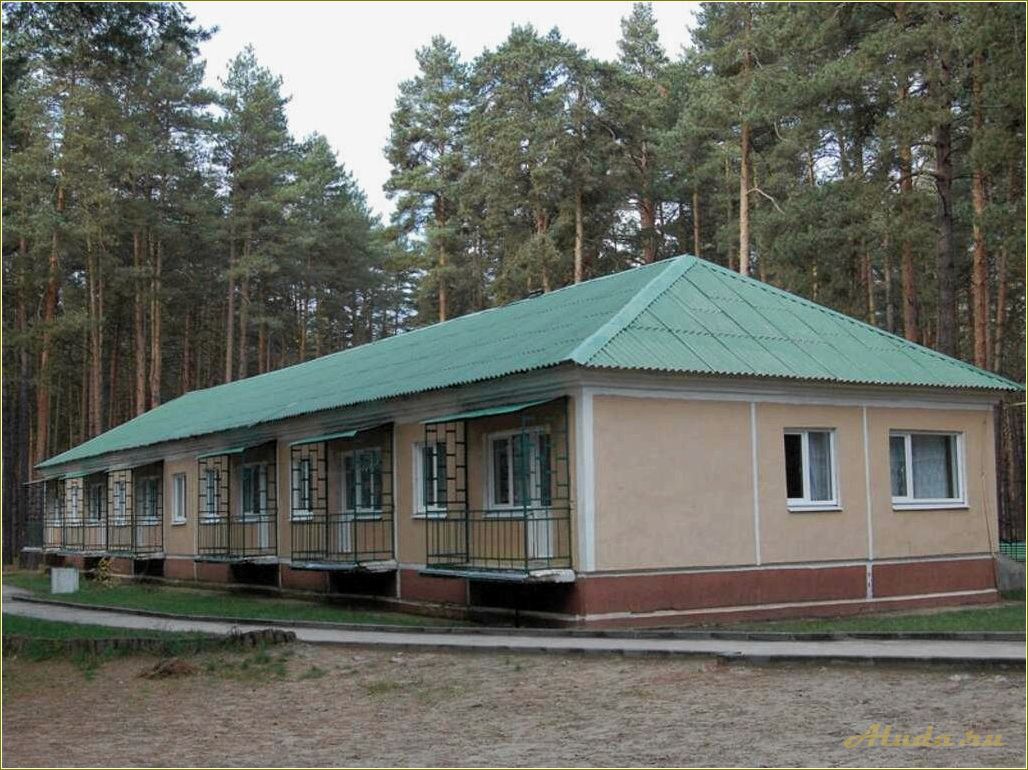 (рязанская, область, спасский, район, база) Рязанская область — Спасский район и база отдыха