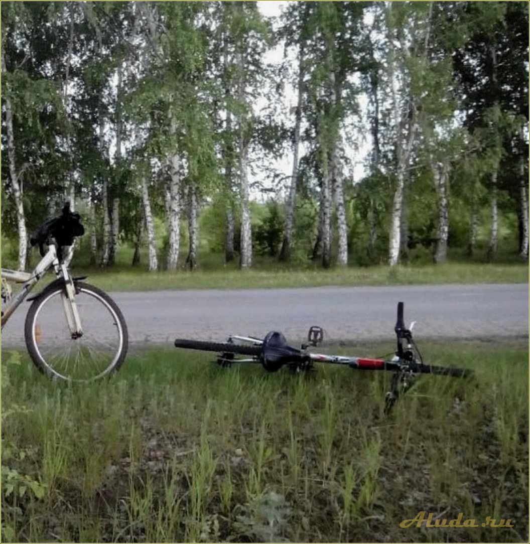 (рязанская, область, спасский, район, база) Рязанская область — Спасский район и база отдыха