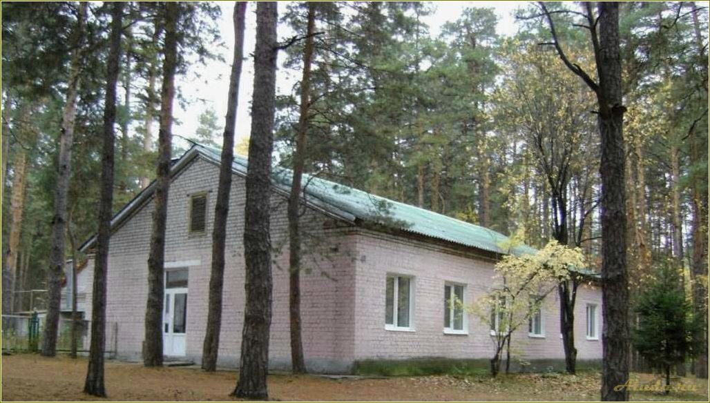 (рязанская, область, спасский, район, база) Рязанская область — Спасский район и база отдыха