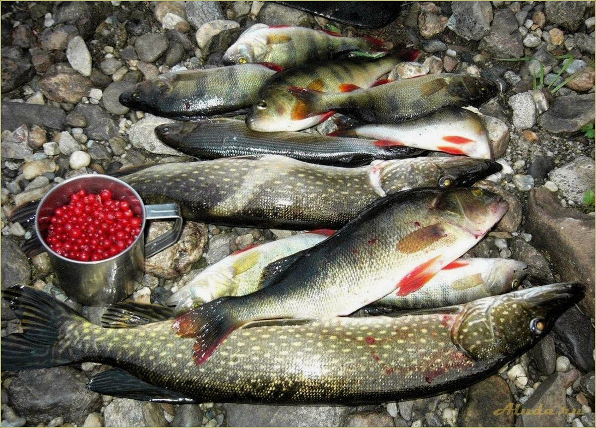 Рыбалка на базах отдыха Свердловской области