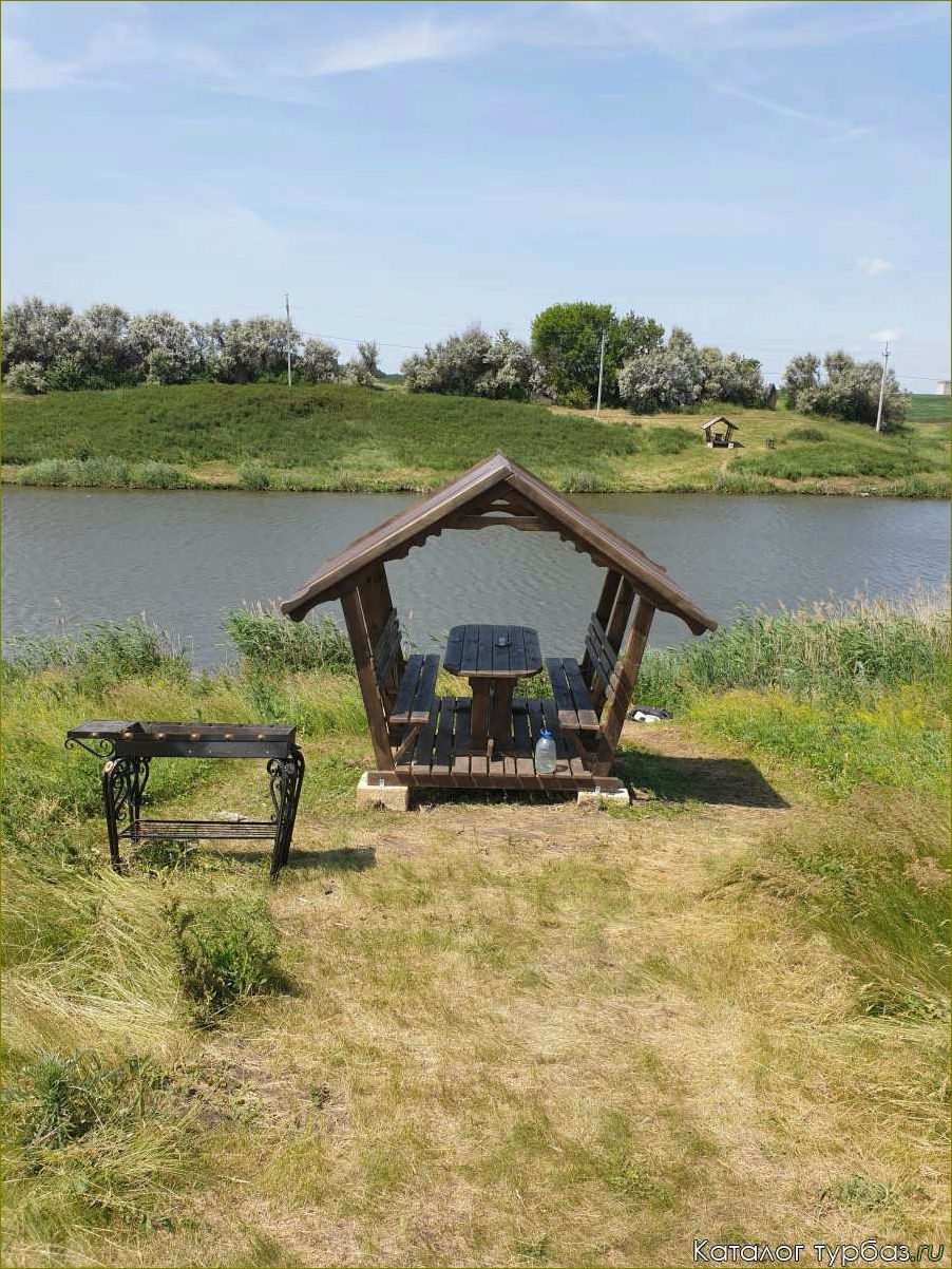 (рыбалка, базах, отдыха, воронежской, области) Рыбалка на базах отдыха Воронежской области — лучшие места, секретные уловы и незабываемые впечатления