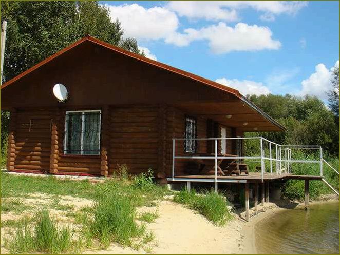 (рыбалка, базах, отдыха, воронежской, области) Рыбалка на базах отдыха Воронежской области — лучшие места, секретные уловы и незабываемые впечатления