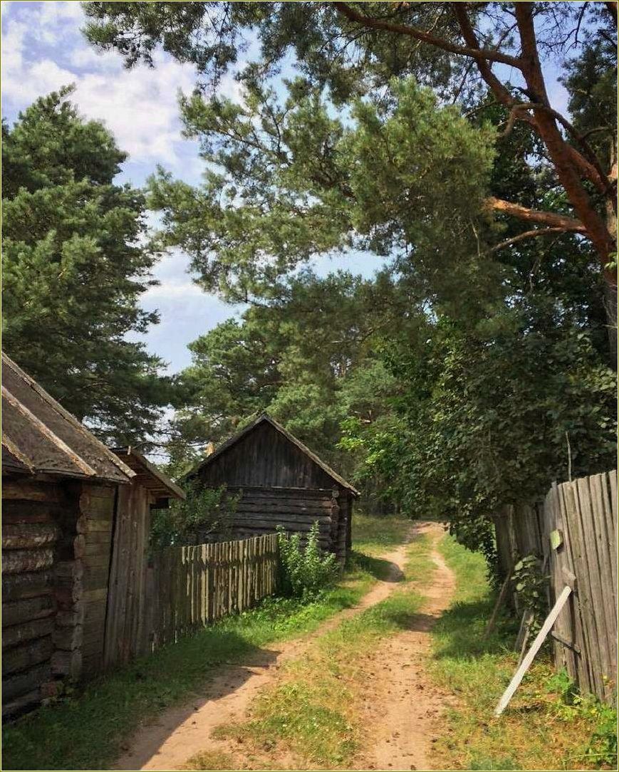 (сельский, отдых, тверской, области) Сельский отдых в Тверской области