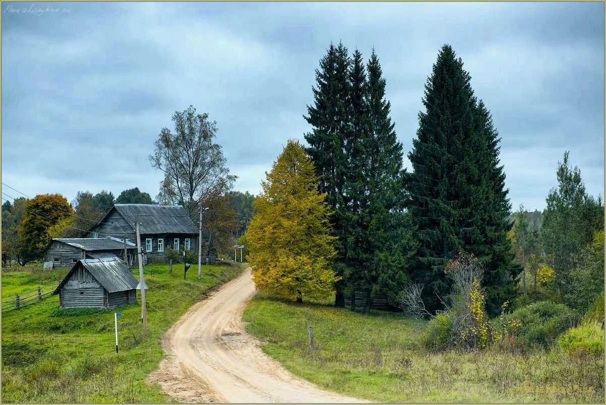(сельский, отдых, тверской, области) Сельский отдых в Тверской области