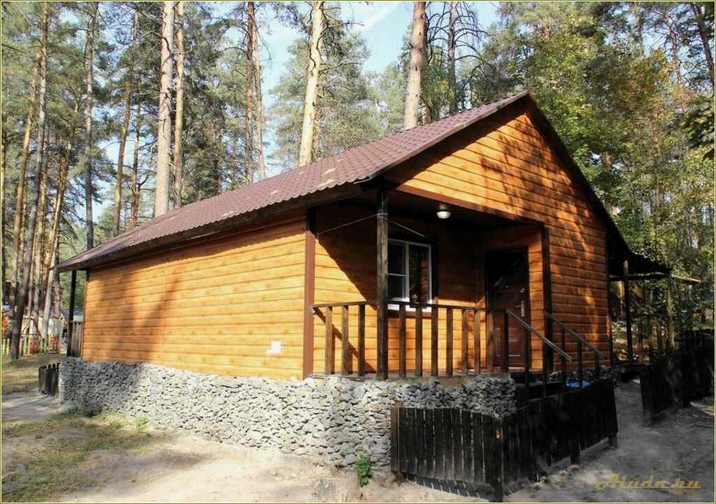 (семейная, база, отдыха, челябинской, области) Семейная база отдыха в Челябинской области