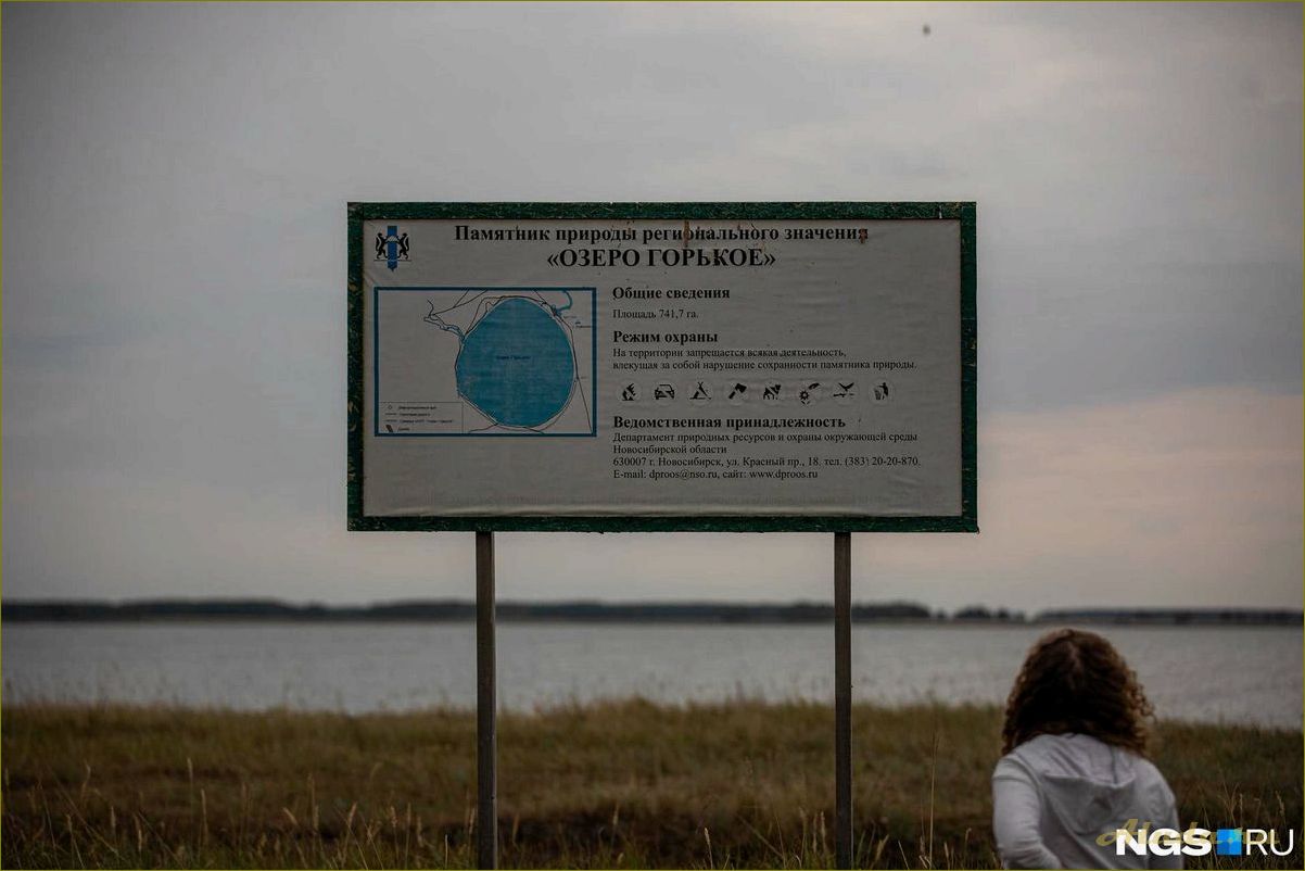 Соленые озера новосибирской области — идеальное место для отдыха и оздоровления