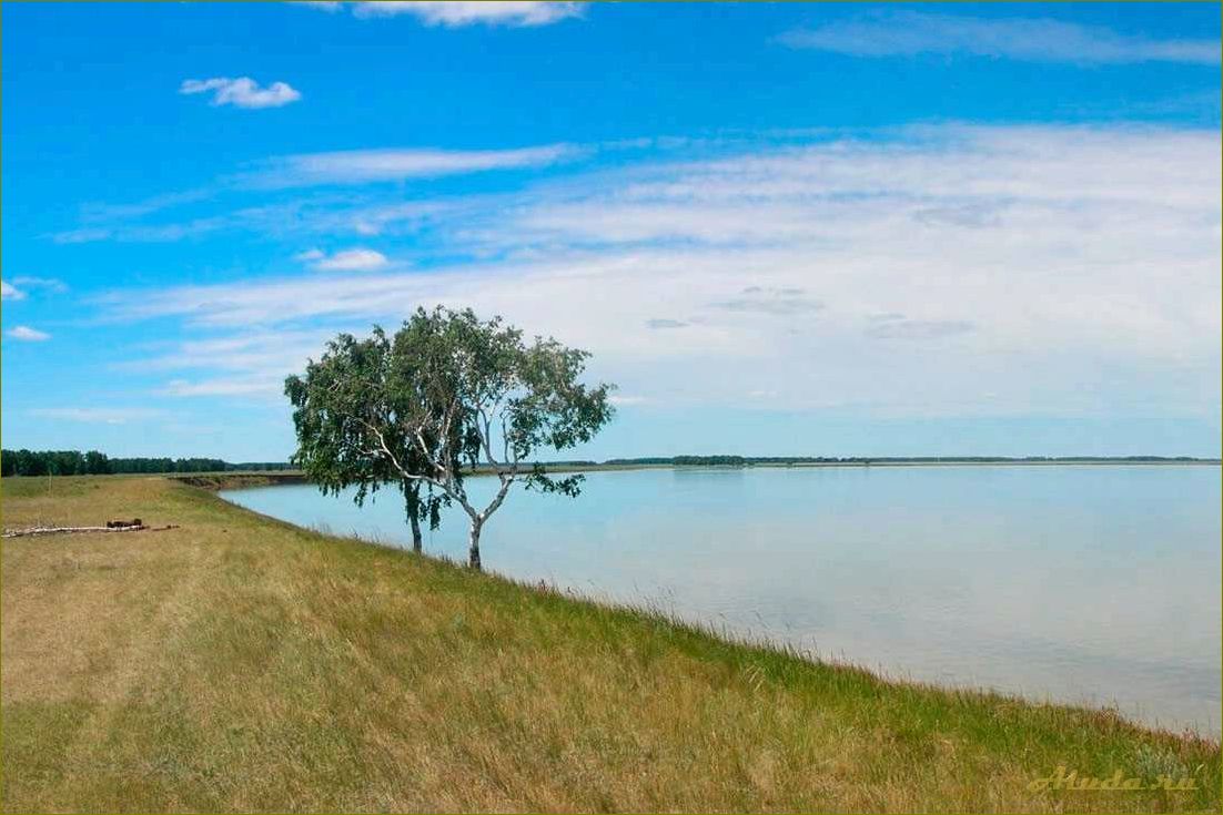 Соленые озера новосибирской области — идеальное место для отдыха и оздоровления