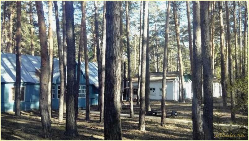 Тамбовская область база отдыха лесная