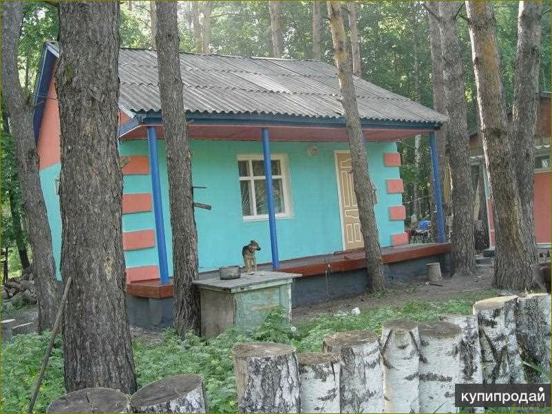 (тихие, базы, отдыха, липецкой, области) Тихие базы отдыха в Липецкой области — наслаждайтесь спокойствием и природой в уютных уголках региона