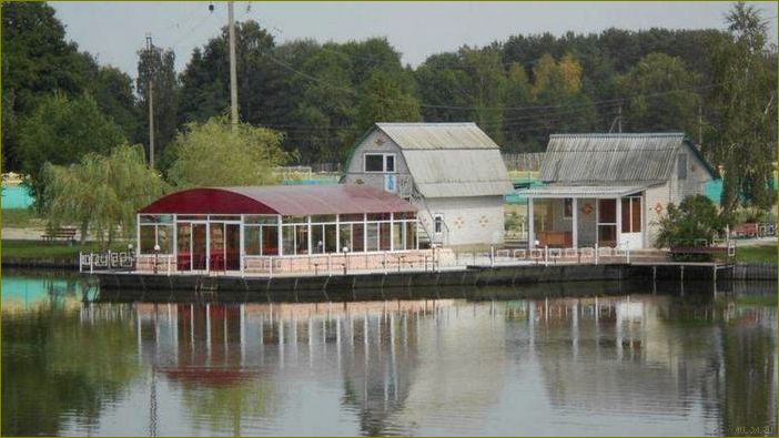 Барсуки база отдыха в Брянской области — идеальное место для рыбалки и отдыха на природе