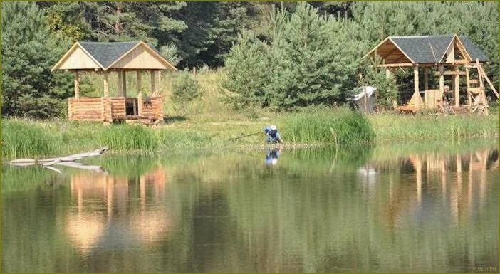 Барсуки база отдыха в Брянской области — идеальное место для рыбалки и отдыха на природе