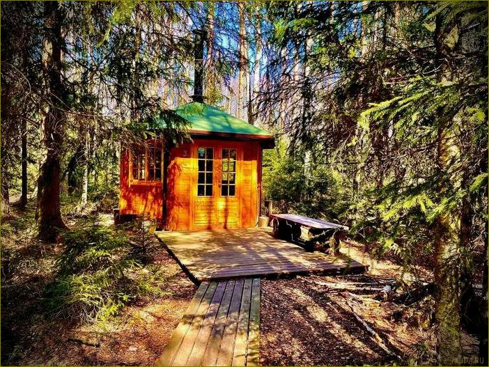 (база, отдыха, беседка, ленинградской) Почему база отдыха