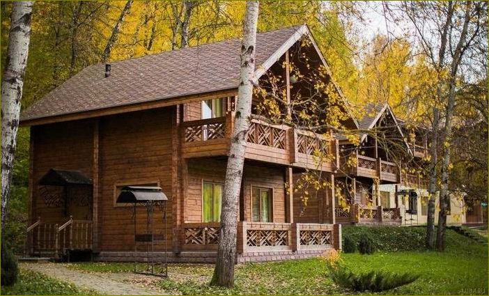 (база, отдыха, коттеджах, московской, области) База отдыха на коттеджах в Московской области — комфорт, природа и отличное времяпровождение