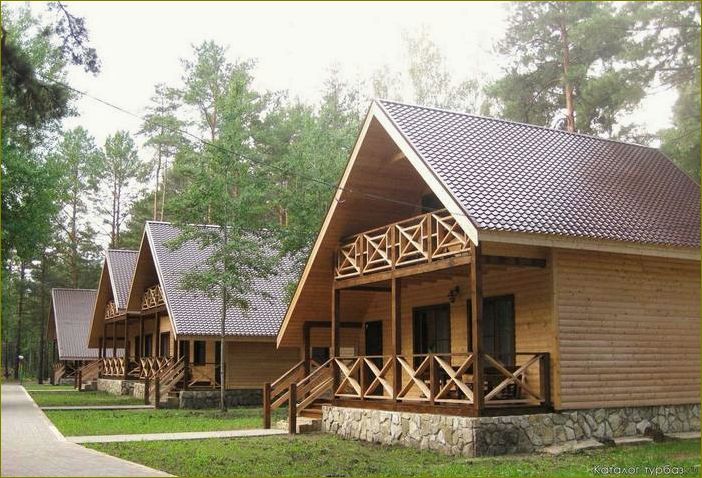 Уникальное предложение базы отдыха в Липецкой области — комфортабельные домики в прекрасном природном уголке