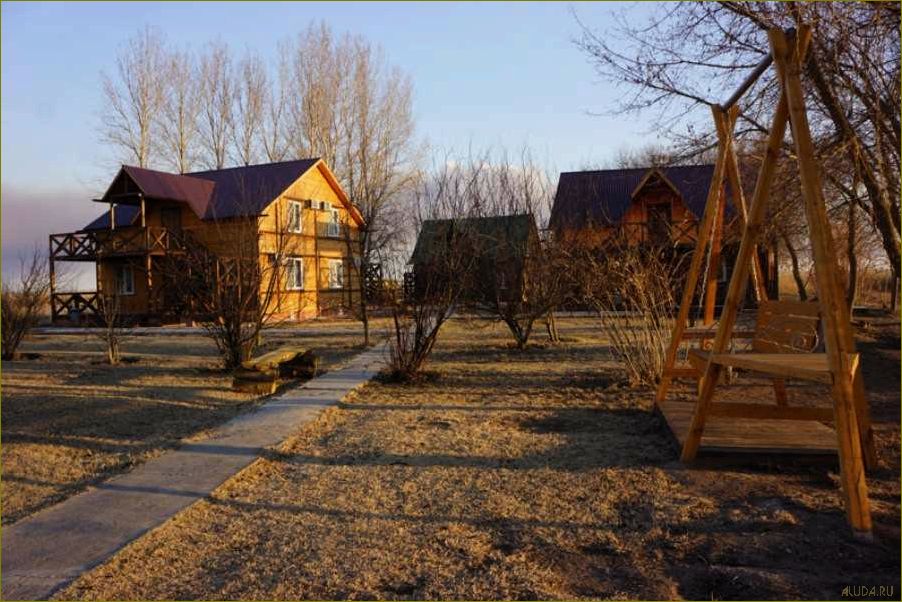 Уникальная база отдыха на острове Колочный в прекрасной Астраханской области — идеальное место для отдыха и развлечений