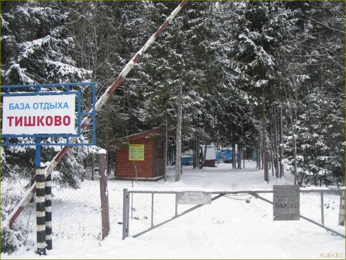 База отдыха в Тишково Московской области — идеальное место для отпуска в окружении природы и комфорта