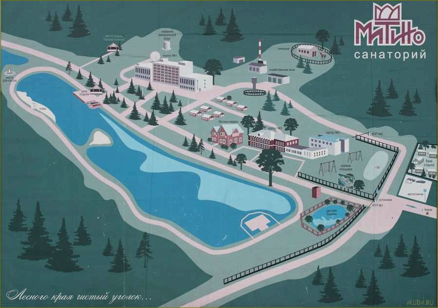 Уникальное место для отдыха и развлечений — база отдыха в Митино, Кировская область — наслаждайтесь комфортом и природой!
