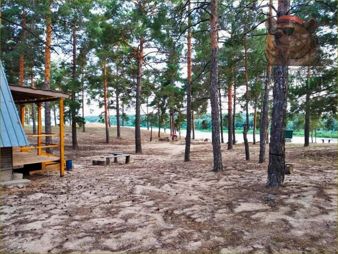 Уникальная база отдыха &laquo;Берлога&raquo; в Волгоградской области, расположенная в Иловлинском районе — идеальное место для вашего незабываемого отдыха!