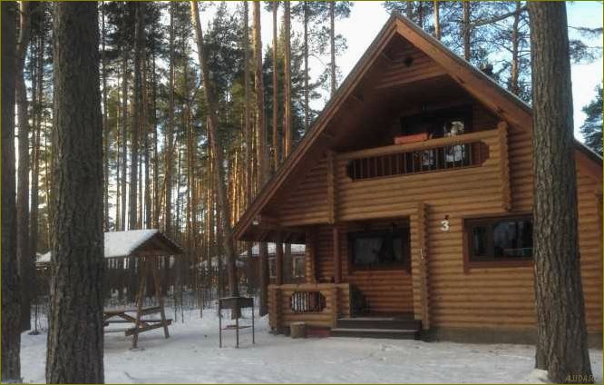 (роскошная, база, отдыха, брусника, идеальное) Роскошная база отдыха