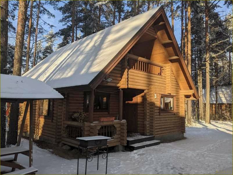 (роскошная, база, отдыха, брусника, идеальное) Роскошная база отдыха