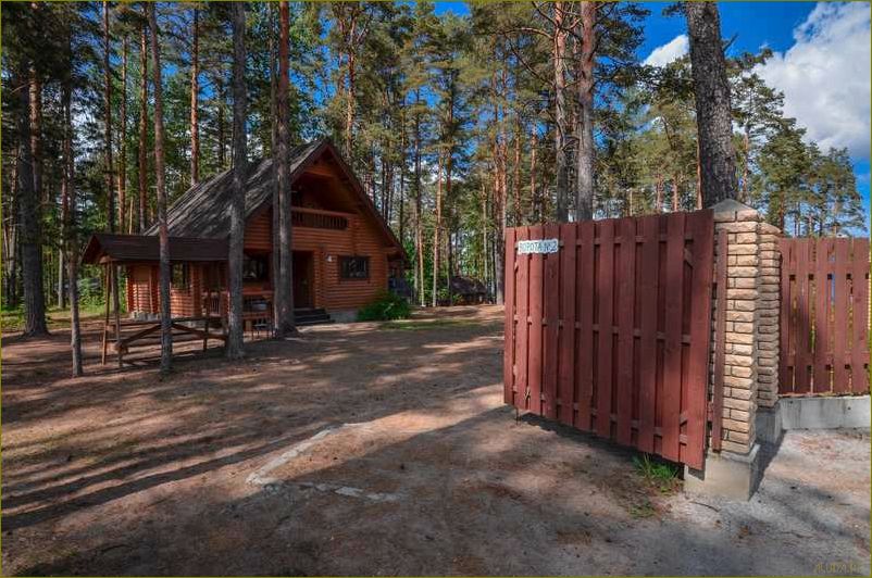 (роскошная, база, отдыха, брусника, идеальное) Роскошная база отдыха