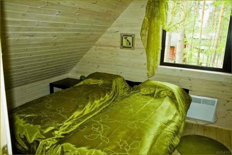 (роскошная, база, отдыха, брусника, идеальное) Роскошная база отдыха