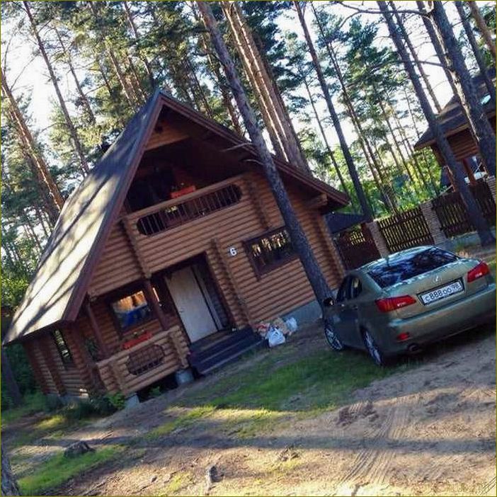 (роскошная, база, отдыха, брусника, идеальное) Роскошная база отдыха