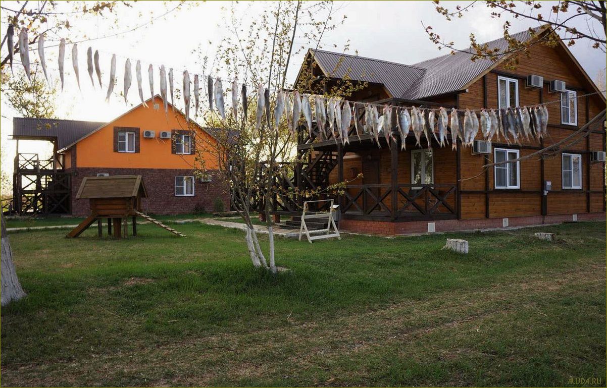 Уникальная база отдыха на острове Колочный в прекрасной Астраханской области — идеальное место для отдыха и развлечений