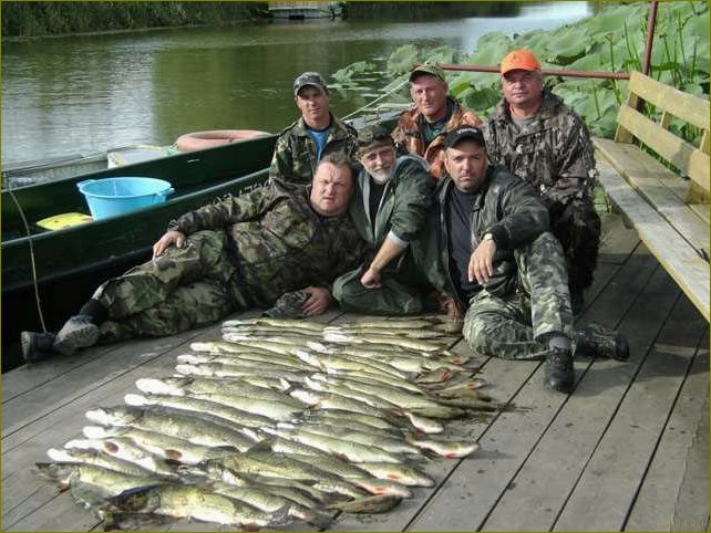 Уникальная база отдыха на острове Колочный в прекрасной Астраханской области — идеальное место для отдыха и развлечений