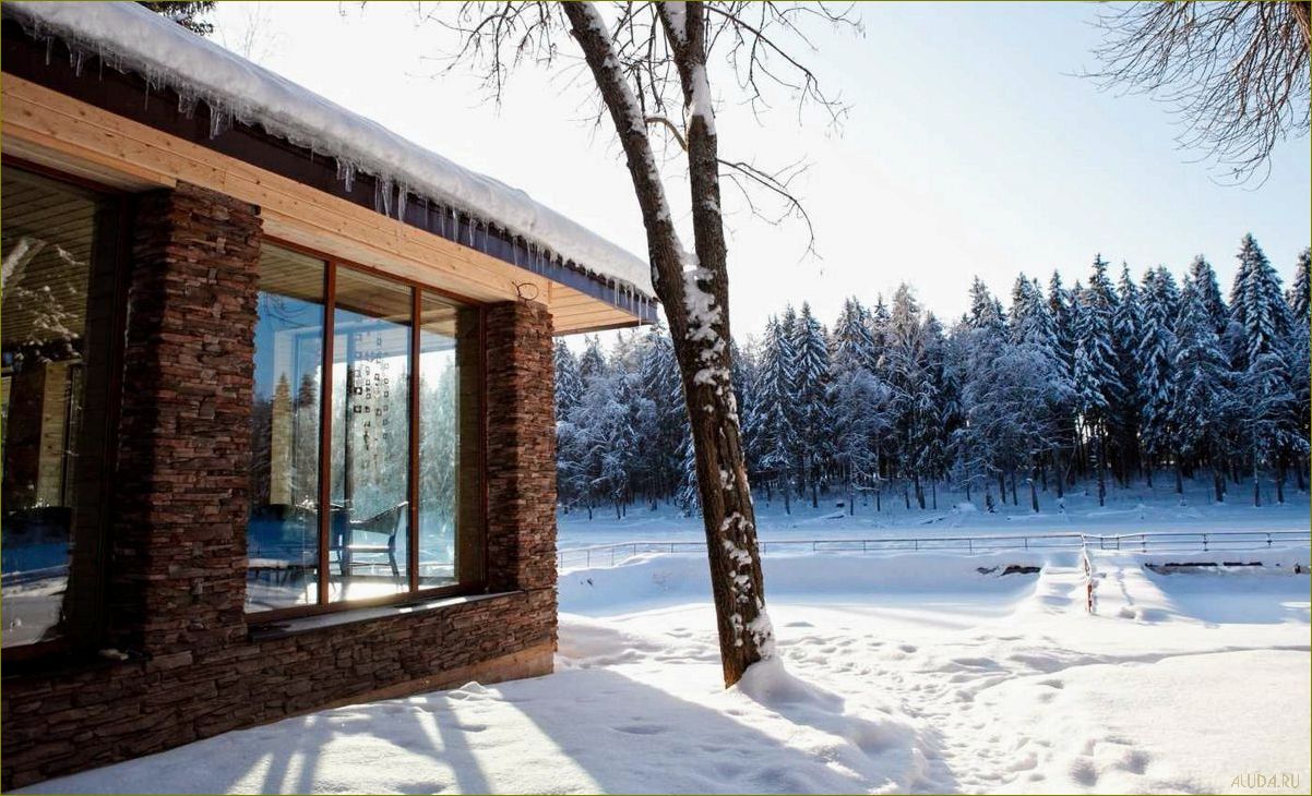 База отдыха в Солнечногорске — идеальное место для отдыха в Московской области