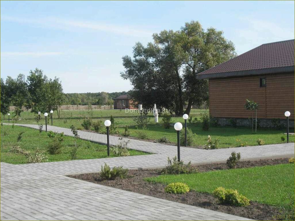 База отдыха 