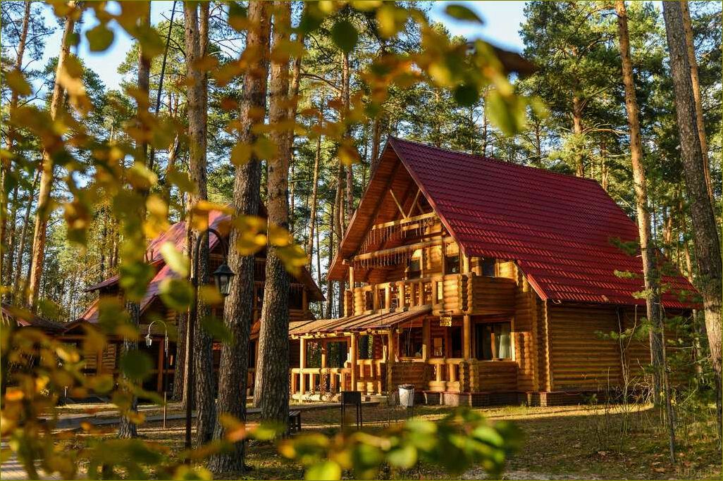 Роскошная база отдыха 