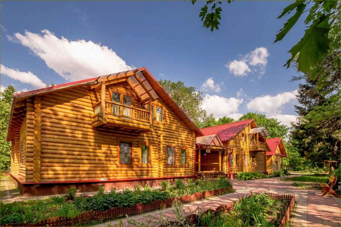 Лучшие базы отдыха для семейного отдыха во Владимирской области — отличный отдых для всей семьи на природе