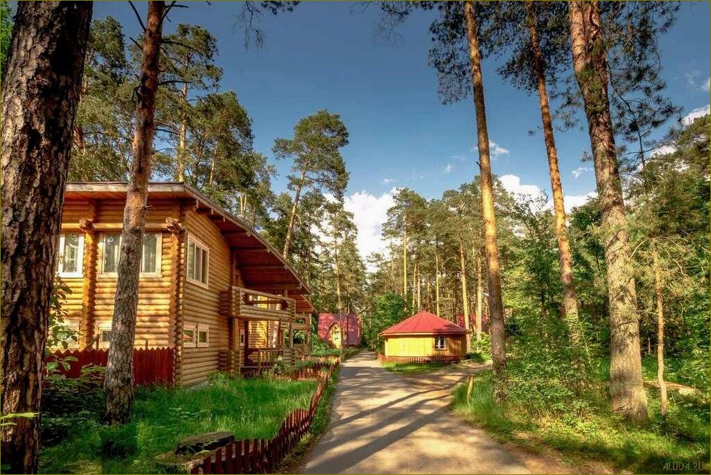 Лучшие базы отдыха для семейного отдыха во Владимирской области — отличный отдых для всей семьи на природе