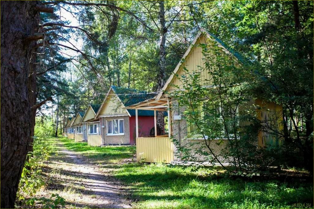 Лучшие базы отдыха в Липецке и Липецкой области с вкусным и разнообразным питанием для полноценного отдыха и наслаждения природой