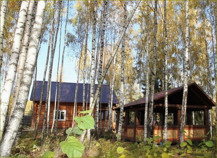 Базы отдыха в Томской области: цены и условия проживания