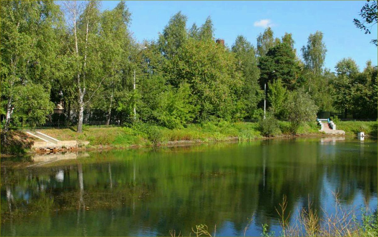 Комфортабельный дом отдыха в Быково, Московская область — идеальное место для незабываемых каникул и расслабляющего отдыха